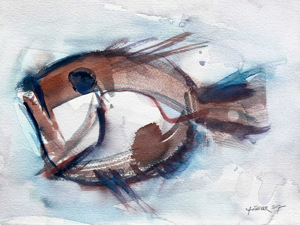 Sandy fish_30x40cm_2017